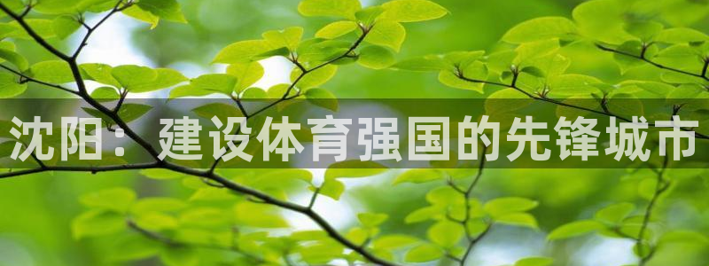 凯捷体育平台注册：沈阳：建设体育强国的先锋城市