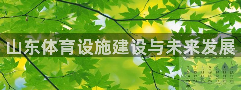 凯捷体育娱乐网站：山东体育设施建设与未来发展