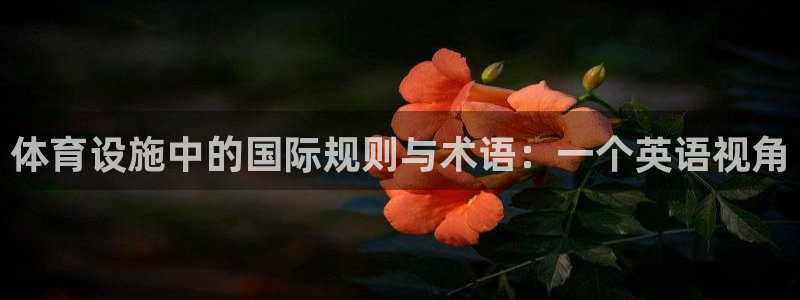 凯捷体育平台是正规平台吗知乎：体育设施中的国际规则与