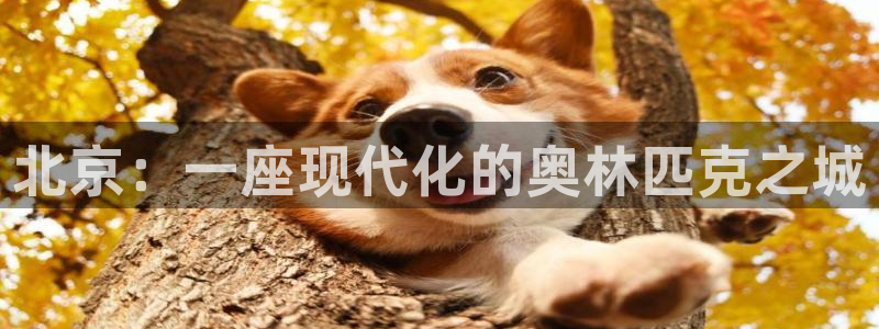 凯捷体育集团官网首页网址：北京：一座现代化的奥林匹克