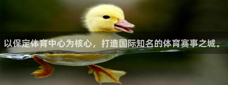 凯捷体育集团官网首页：以保定体育中心为核心，打造国际知名的体