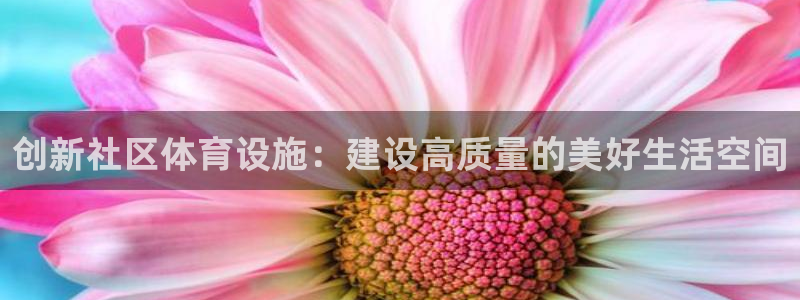 凯捷体育娱乐首页网站大全：创新社区体育设施：建设高质