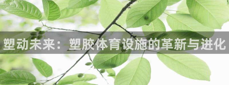 凯捷体育平台注册要钱吗：塑动未来：塑胶体育设施的革新