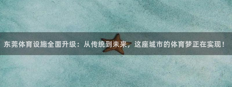 凯捷集团官网：东莞体育设施全面升级：从传统到未来，这