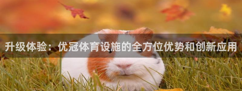 凯捷体育开户：升级体验：优冠体育设施的全方位优势和创