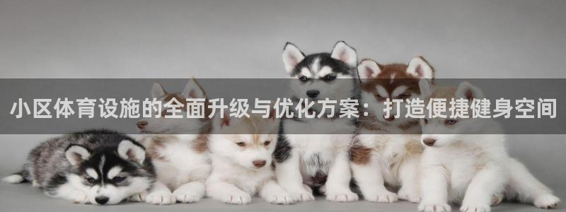凯捷体育招商电话：小区体育设施的全面升级与优化方案：打造便捷