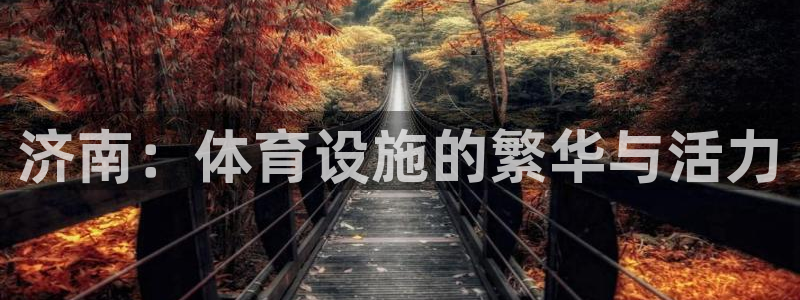 凯捷体育招商电话地址查询：济南：体育设施的繁华与活力