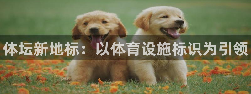 凯捷体育科技：体坛新地标：以体育设施标识为引领