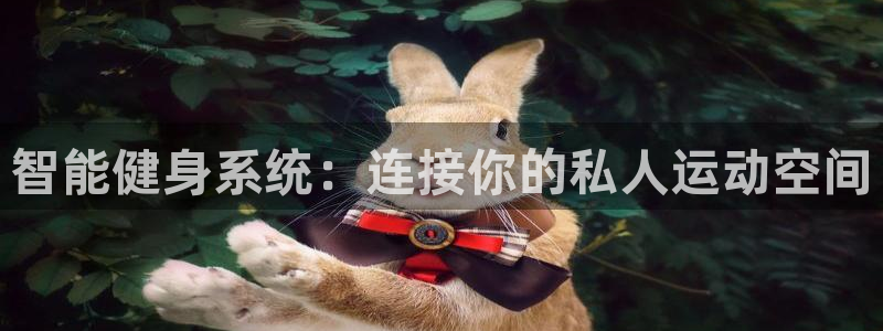 凯捷体育平台是正规平台吗：智能健身系统：连接你的私人运动空间
