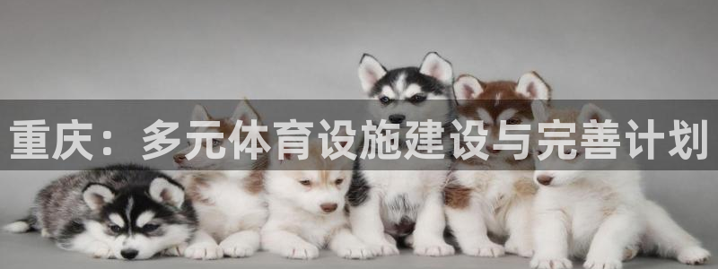 海南凯捷体育：重庆：多元体育设施建设与完善计划 