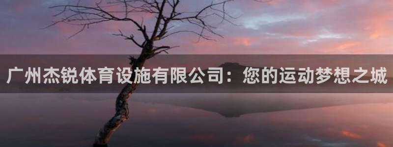 凯捷体育官方：广州杰锐体育设施有限公司：您的运动梦想之城