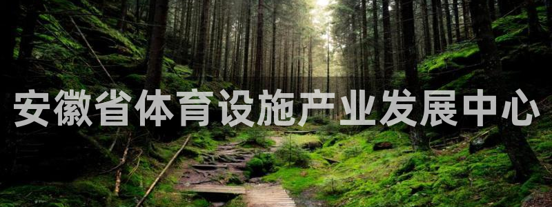 凯捷体育娱乐首页官网下载：安徽省体育设施产业发展中心