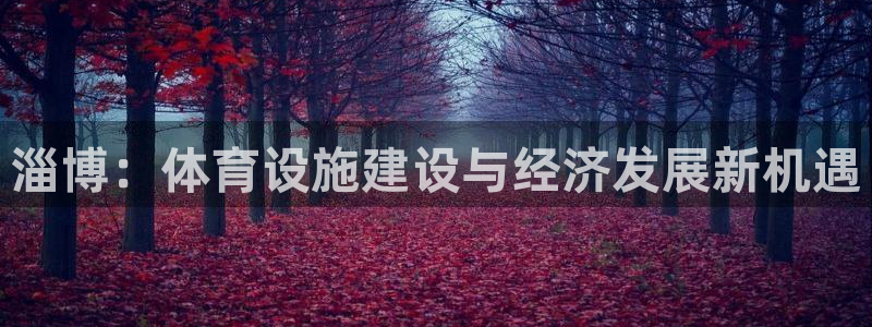 凯捷体育注册：淄博：体育设施建设与经济发展新机遇