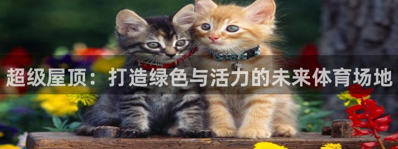 凯捷体育娱乐：超级屋顶：打造绿色与活力的未来体育场地