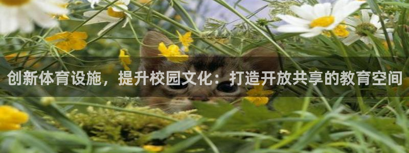 凯捷集团官网：创新体育设施，提升校园文化：打造开放共