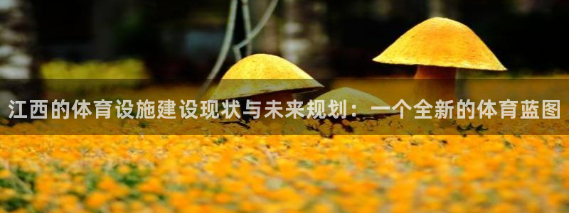 凯捷体育平台是正规平台吗安全吗：江西的体育设施建设现