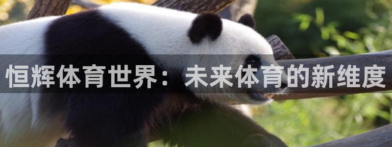凯捷体育开户：恒辉体育世界：未来体育的新维度
