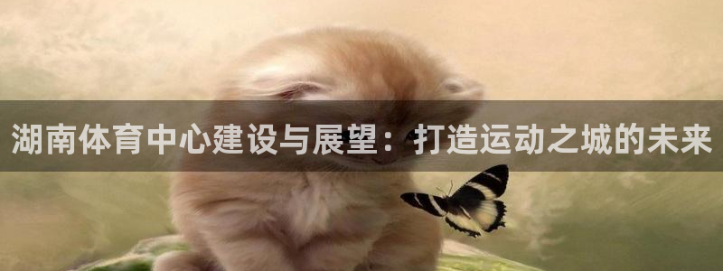 凯捷体育招商电话号码是多少号：湖南体育中心建设与展望