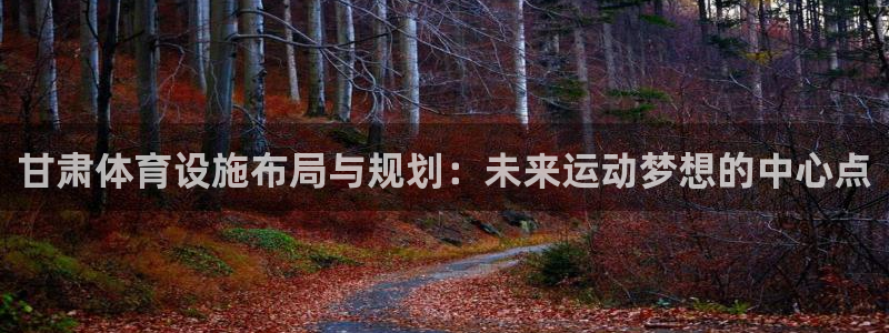 凯捷体育集团：甘肃体育设施布局与规划：未来运动梦想的
