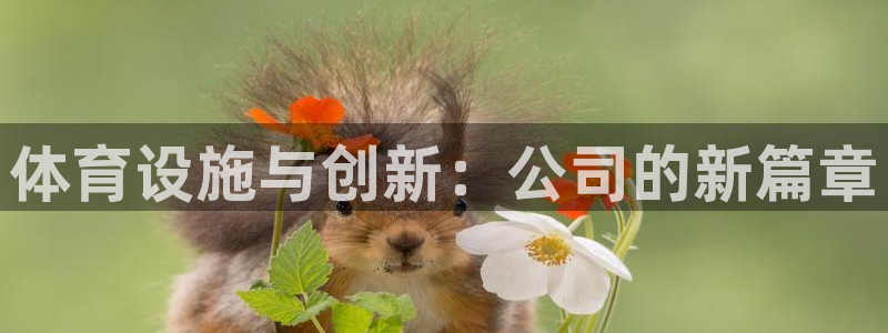 凯捷体育官方客服电话：体育设施与创新：公司的新篇章