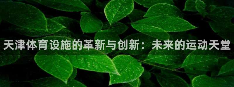 凯捷体育娱乐40996：天津体育设施的革新与创新：未