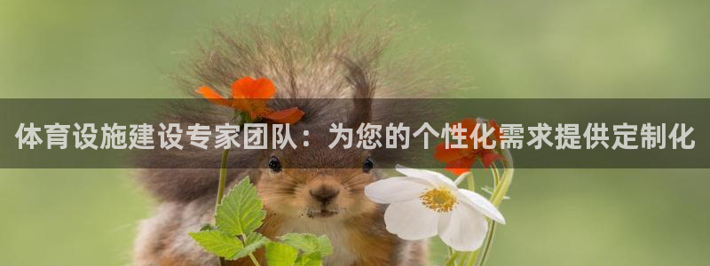 凯捷体育娱乐平台：体育设施建设专家团队：为您的个性化