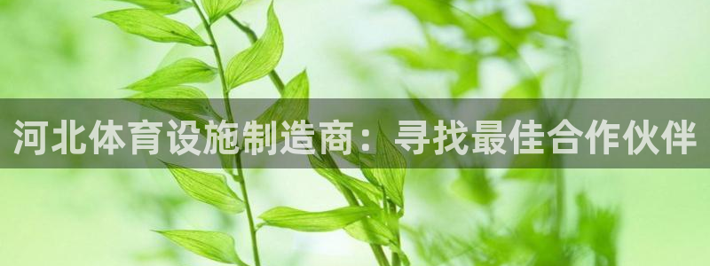 凯捷体育新能源：河北体育设施制造商：寻找最佳合作伙伴