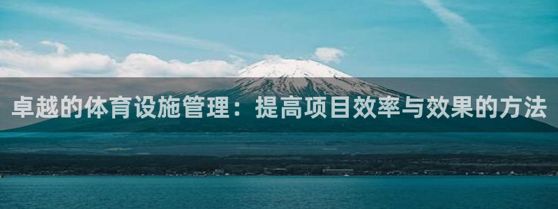 凯捷体育集团简介：卓越的体育设施管理：提高项目效率与