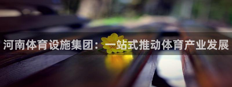 凯捷体育娱乐首页官网下载：河南体育设施集团：一站式推