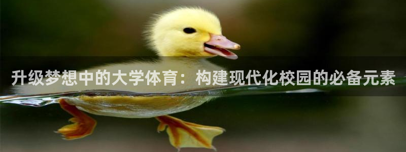 凯捷体育娱乐网站：升级梦想中的大学体育：构建现代化校