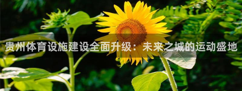 凯捷体育娱乐首页官网下载：贵州体育设施建设全面升级：