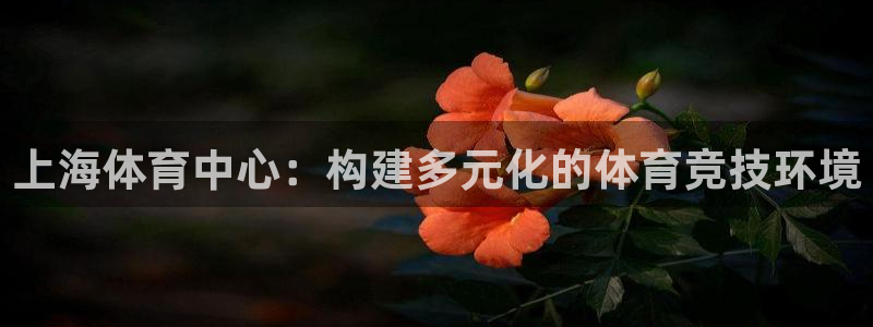 凯捷体育神州：上海体育中心：构建多元化的体育竞技环境