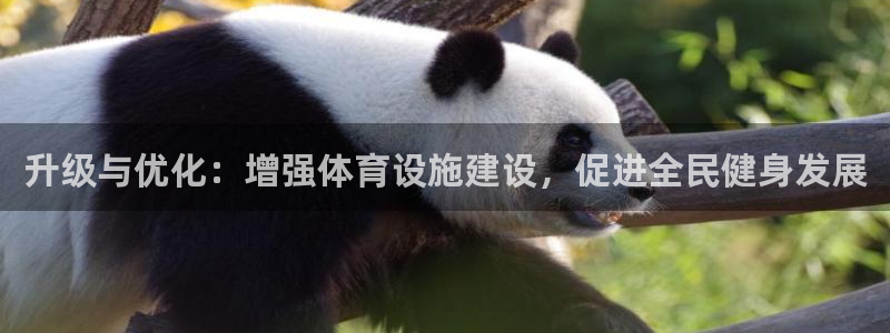 凯捷体育平台假的吗是真的吗：升级与优化：增强体育设施