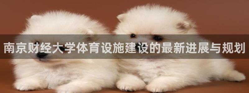 凯捷体育注册：南京财经大学体育设施建设的最新进展与规