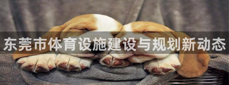 凯捷体育是干嘛的公司：东莞市体育设施建设与规划新动态