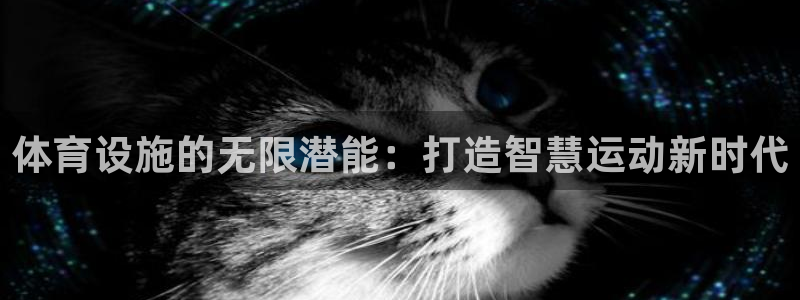 凯捷体育招商：体育设施的无限潜能：打造智慧运动新时代