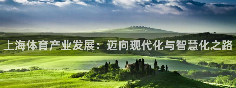 凯捷体育娱乐：上海体育产业发展：迈向现代化与智慧化之