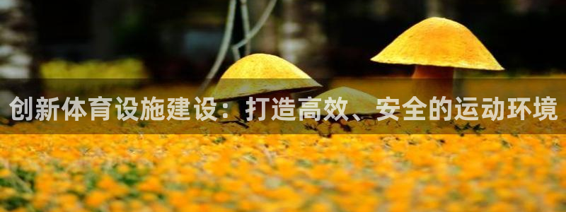 凯捷体育集团E.ON：创新体育设施建设：打造高效、安