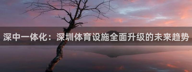凯捷体育招商电话号码查询是多少：深中一体化：深圳体育