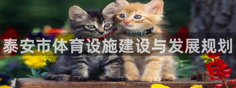 凯捷体育平台：泰安市体育设施建设与发展规划