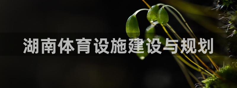 凯捷体育招商电话是多少：湖南体育设施建设与规划