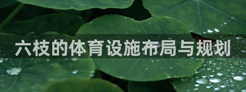 凯捷体育官方：六枝的体育设施布局与规划