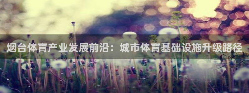 凯捷体育招商：烟台体育产业发展前沿：城市体育基础设施