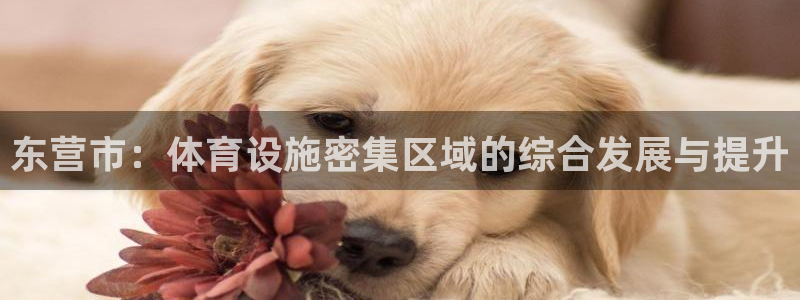 凯捷体育招商电话号码是多少：东营市：体育设施密集区域