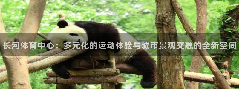 凯捷体育平台：长河体育中心：多元化的运动体验与城市景
