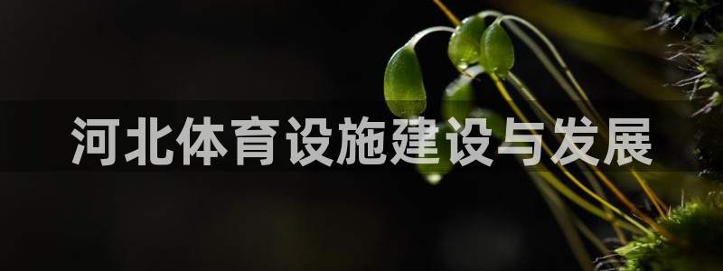 注册凯捷体育：河北体育设施建设与发展