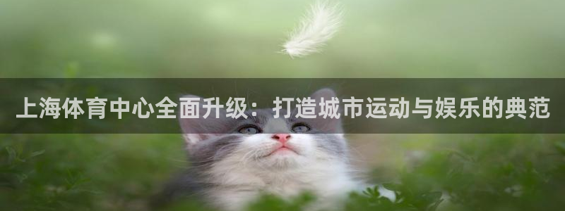 凯捷体育神州：上海体育中心全面升级：打造城市运动与娱