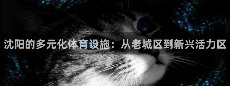 凯捷体育平台是正规平台吗知乎：沈阳的多元化体育设施：