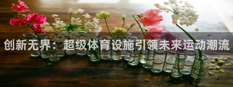 凯捷集团官网：创新无界：超级体育设施引领未来运动潮流