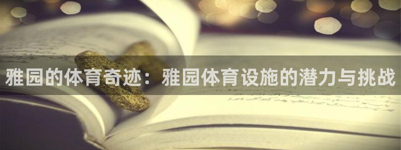 凯捷体育平台注册流程图：雅园的体育奇迹：雅园体育设施的潜力与
